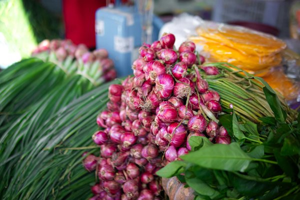 Ultimate guide to the best uk toasters for perfectly toasting artisanal breads